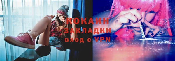 стафф Каменногорск