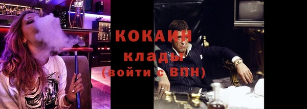 твердый Инта