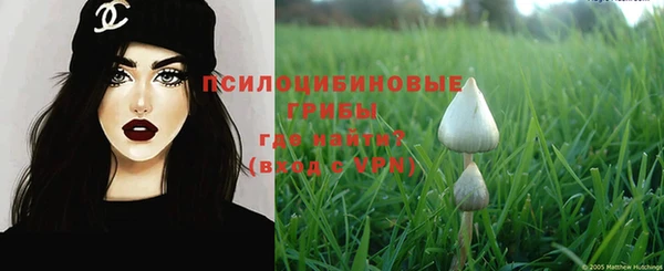 бошки Зерноград