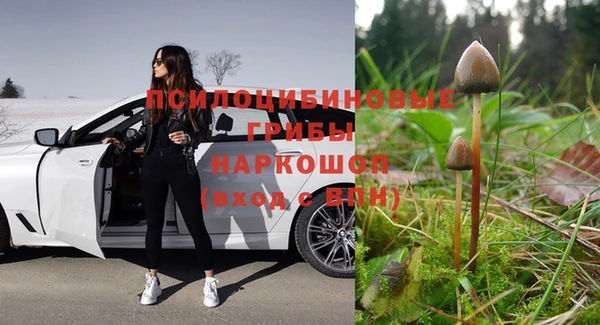 бошки Зерноград