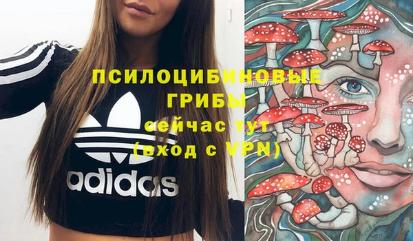 бошки Зерноград