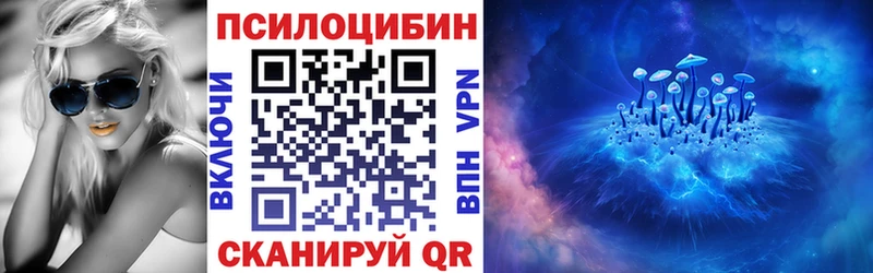 сколько стоит  Инта  Псилоцибиновые грибы Cubensis 